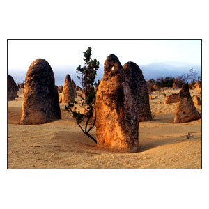 The Pinnacles
